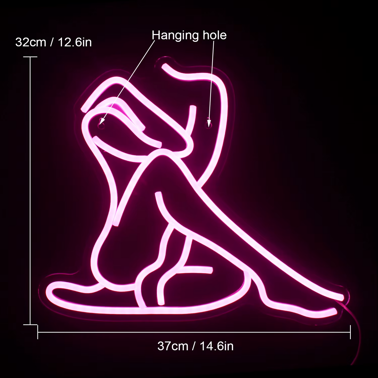 Stripper / Burlesque Girl Neon Sign - LED Light - Wall Strip Club Sexy Party USB