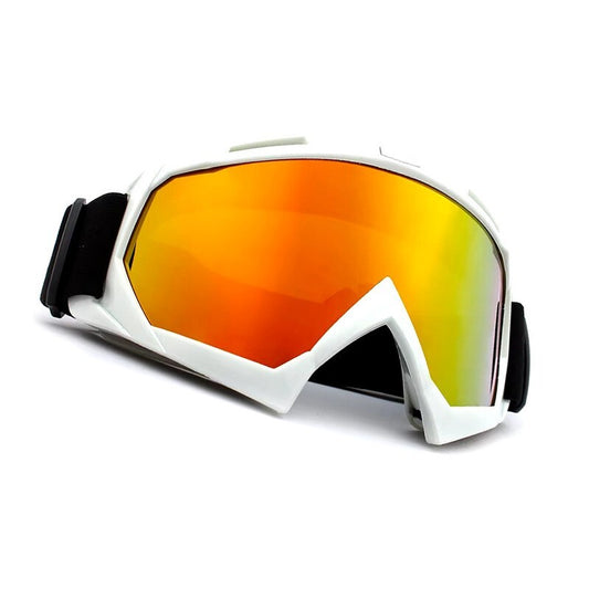 Anti-Fog Ski Goggles - UV400 Adult Men / Women Protection with Dual Lens